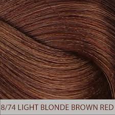 Aura Hair colour 8.74 image 1