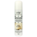 Hilift Zero Grey Root Conceler 75ml Blonde image 0